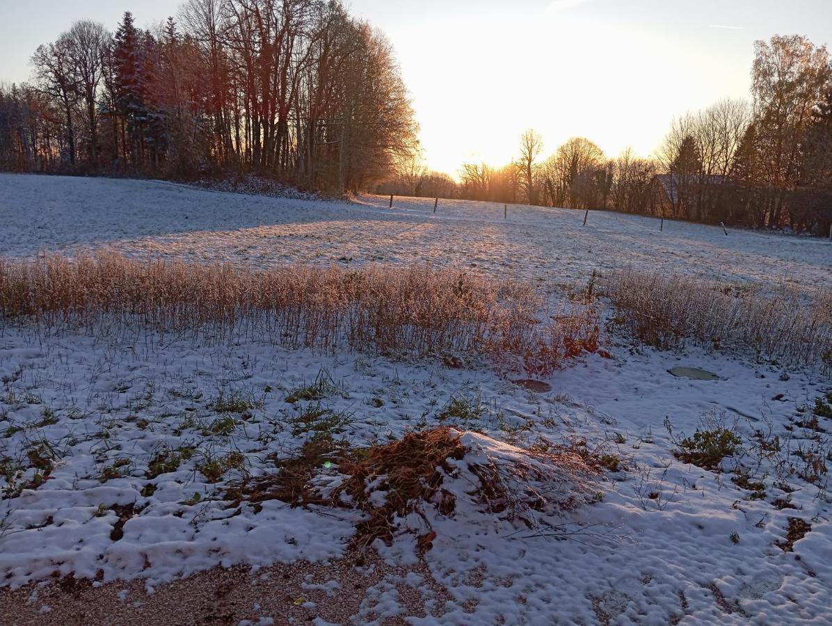La P'Tite Maison Bois Du Herisson Menetrux-en-Joux 外观 照片