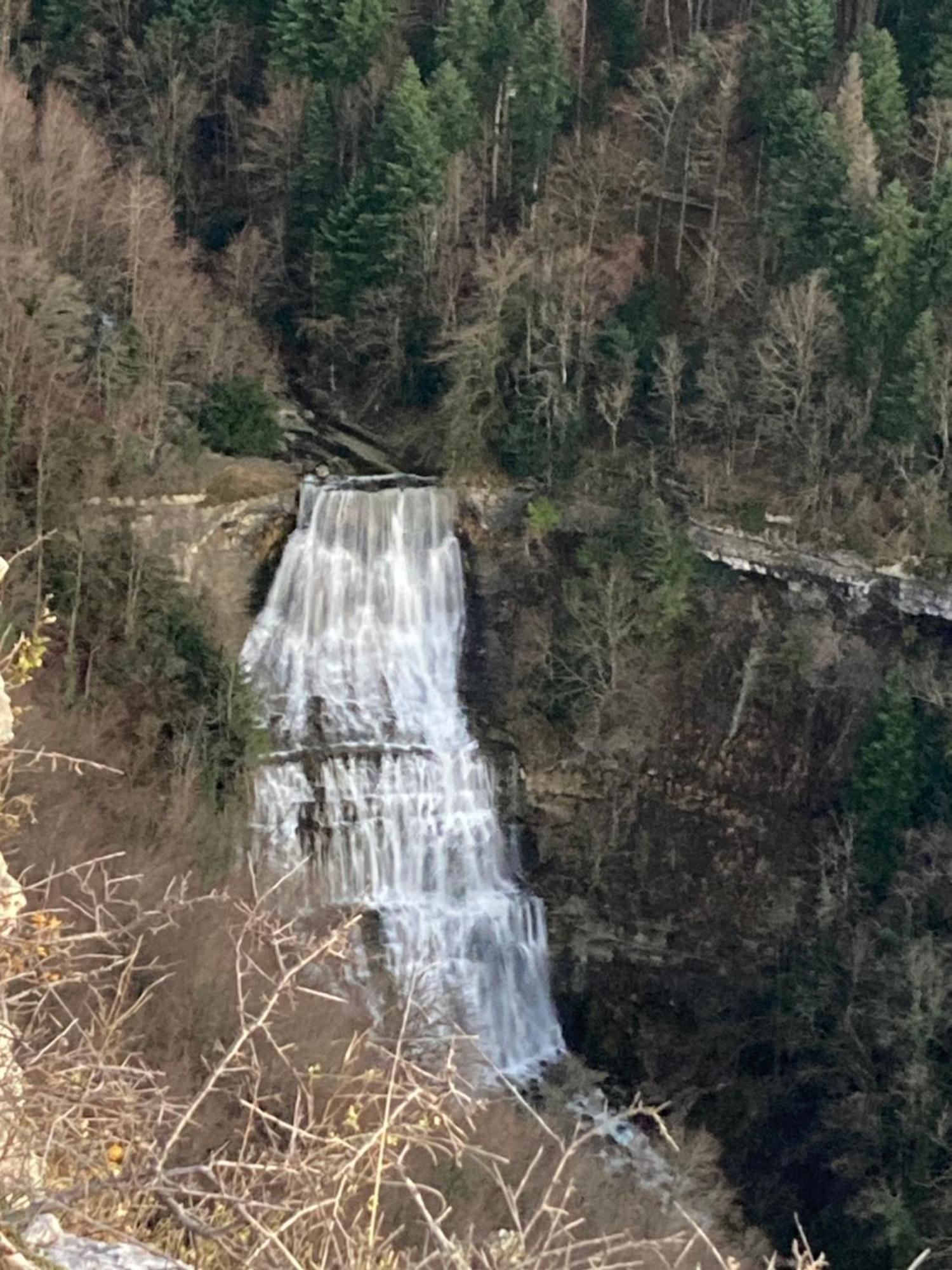 La P'Tite Maison Bois Du Herisson Menetrux-en-Joux 外观 照片